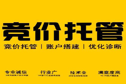 成功案例：网络推广竞价在汽车行业的运用